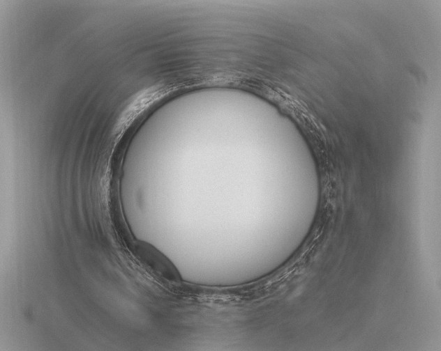 X0000116270242200912141334