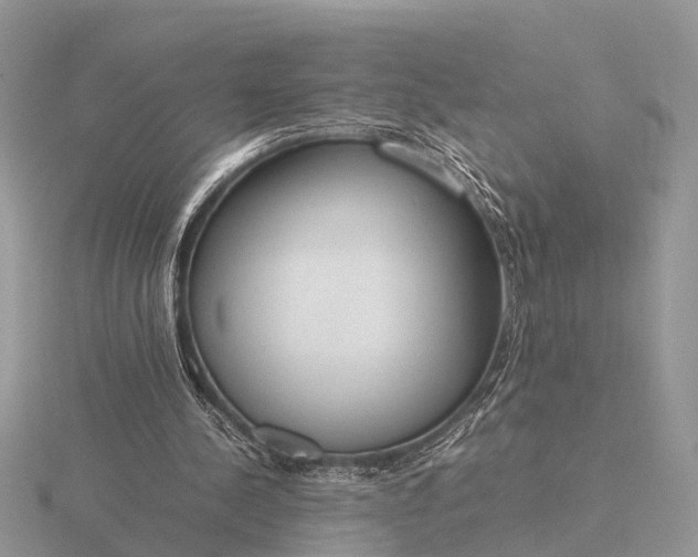 X0000116270244200912141334