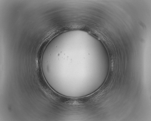 X0000116270254200912141334