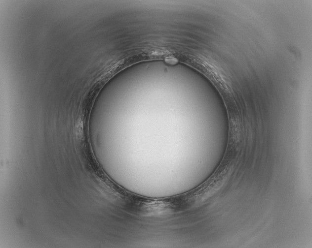 X0000116270269200912141334