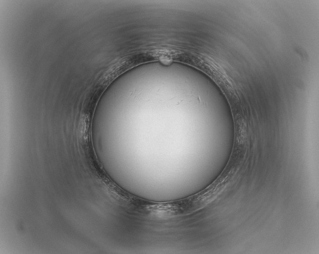 X0000116270273200912141334