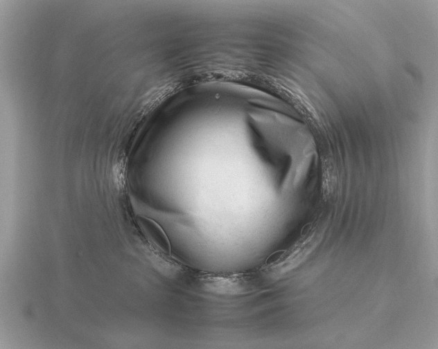 X0000116270285200912141334