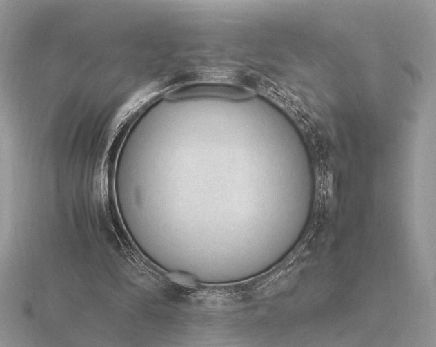 X0000116270294200912141334
