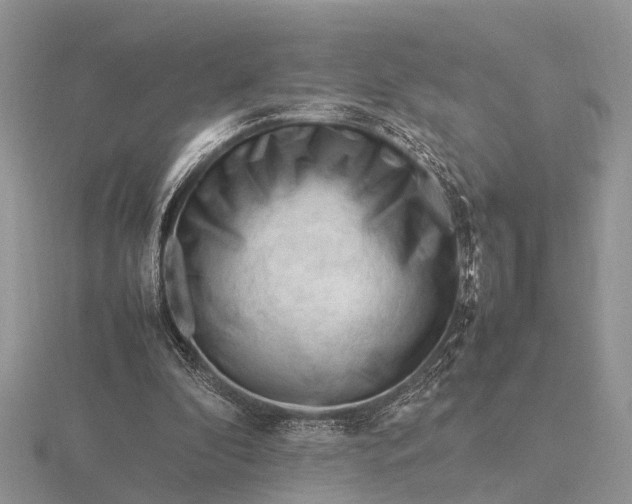 X0000116270296200912141334