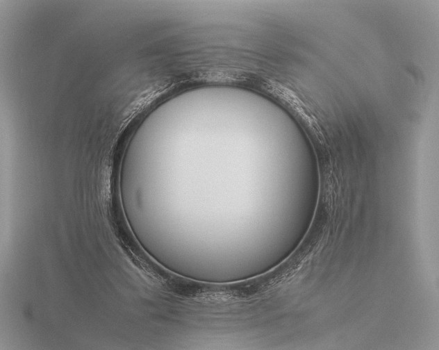 X0000116270299200912141334