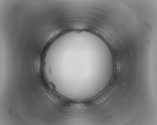 X0000116270304200912141334