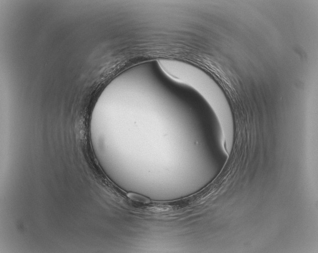 X0000116270317200912141333