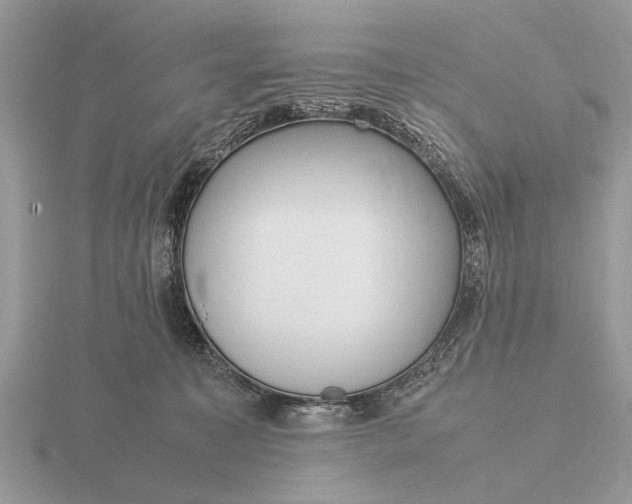 X0000116270323200912141333