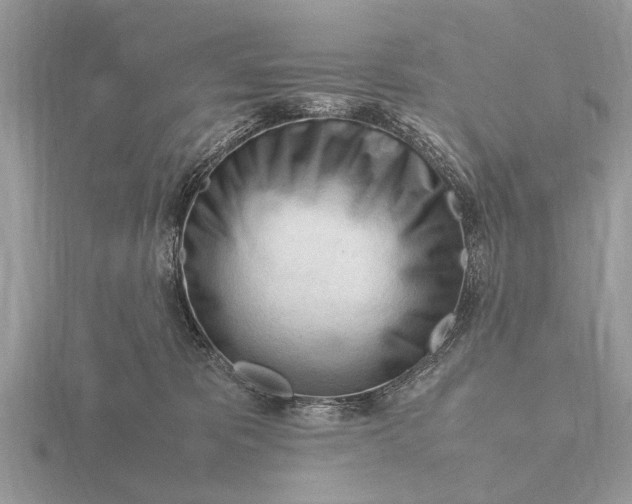 X0000116270325200912141333
