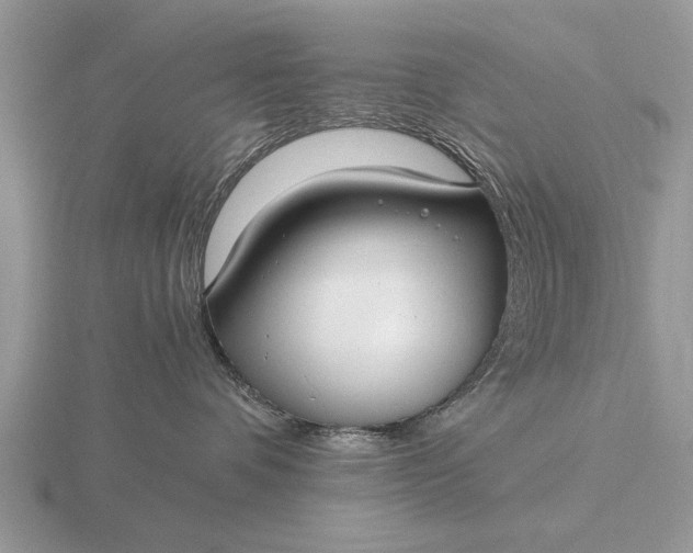 X0000116270336200912141333