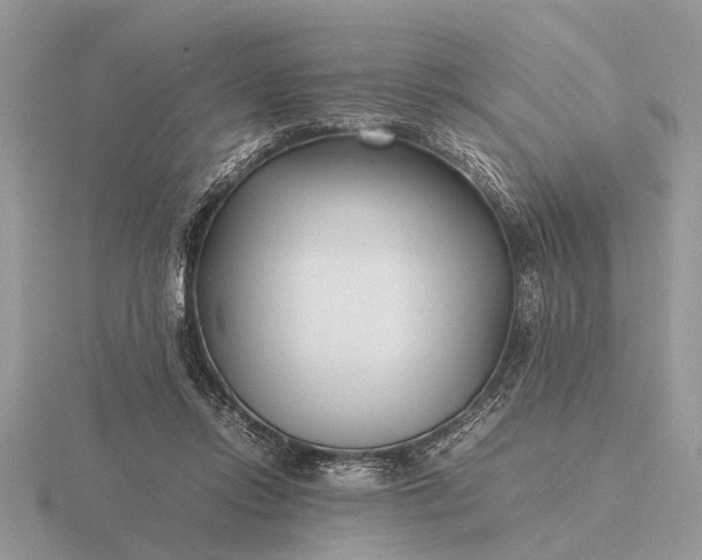X0000116270358200912141333