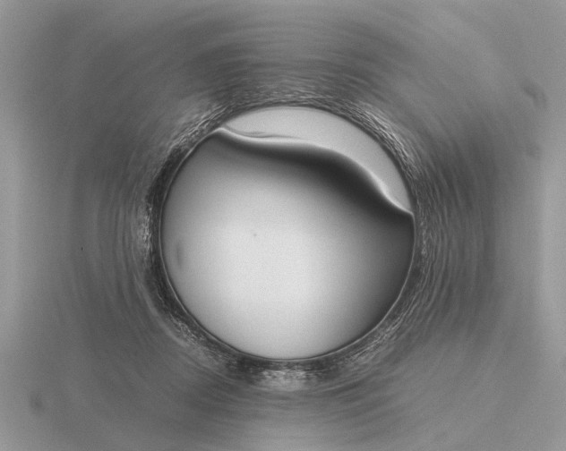 X0000116270362200912141333