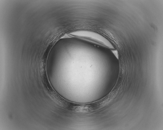 X0000116270366200912141333