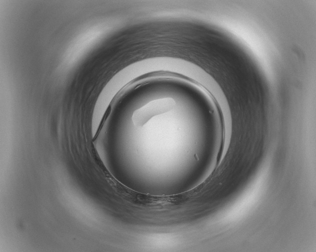 X0000116270382200912141333