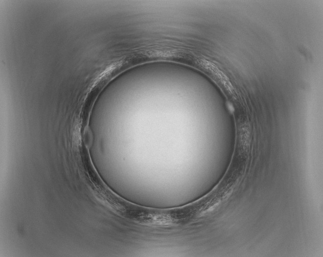 X0000116270395200912141332