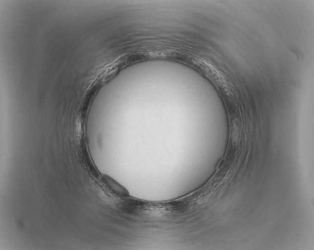 X0000116270405200912141332