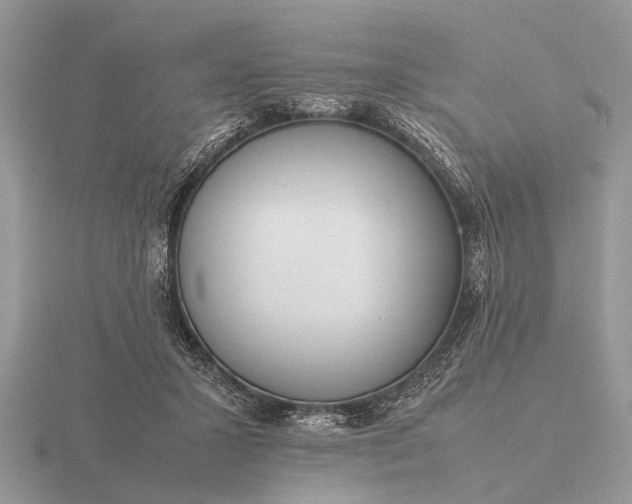 X0000116270407200912141332
