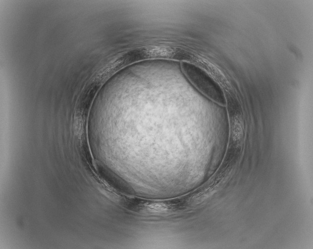 X0000116270409200912141332