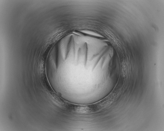 X0000116270410200912141332
