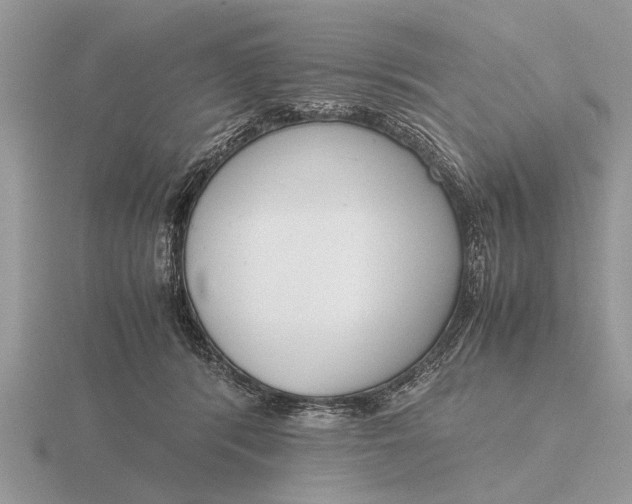 X0000116270416200912141332