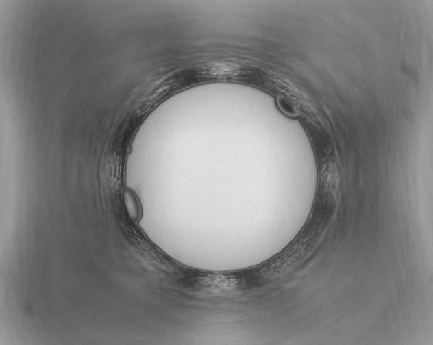 X0000116270421200912141332