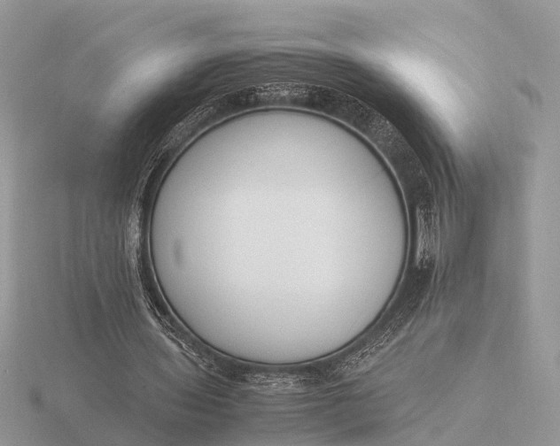 X0000116270435200912141331