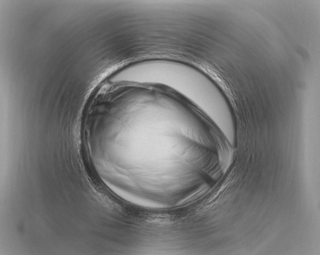 X0000116270438200912141331