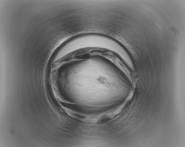 X0000116270440200912141331