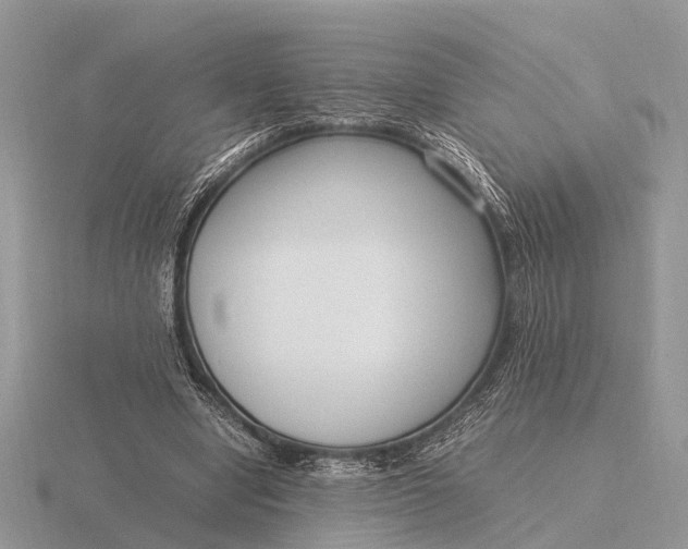 X0000116270442200912141331