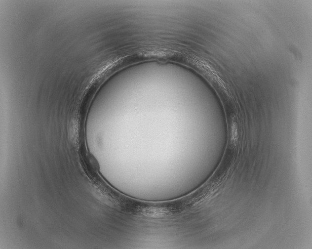 X0000116270444200912141331