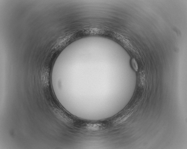 X0000116270450200912141331