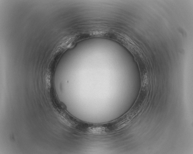 X0000116270452200912141332