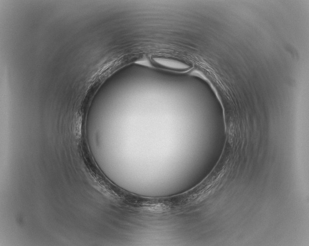 X0000116270454200912141332