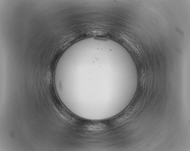 X0000116270459200912141332