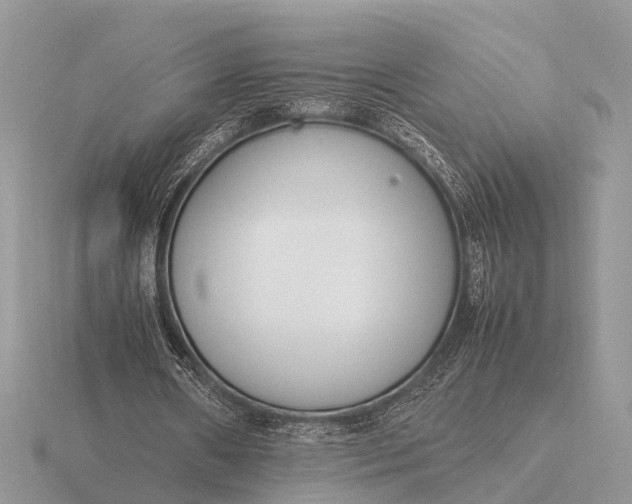 X0000116270482200912141331