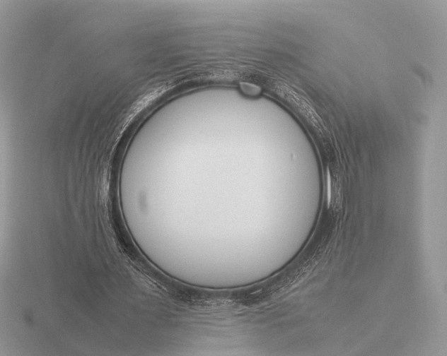 X0000116270483200912141331