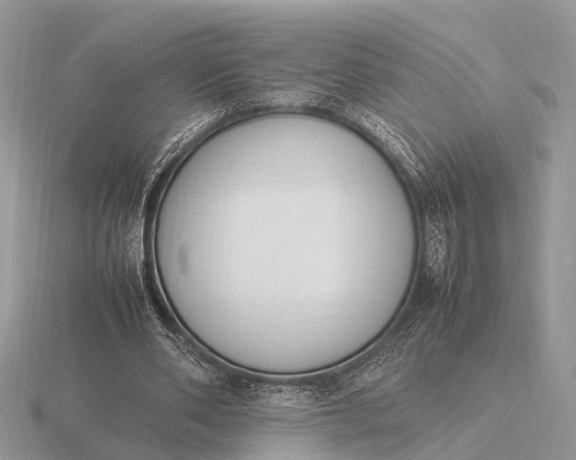 X0000116270486200912141331