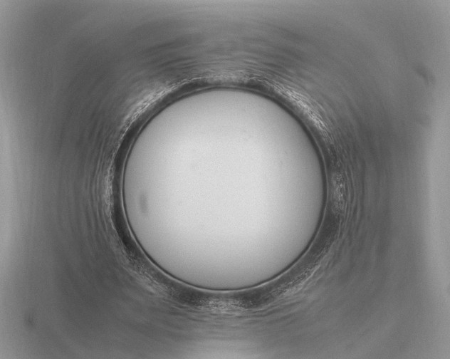 X0000116270487200912141331