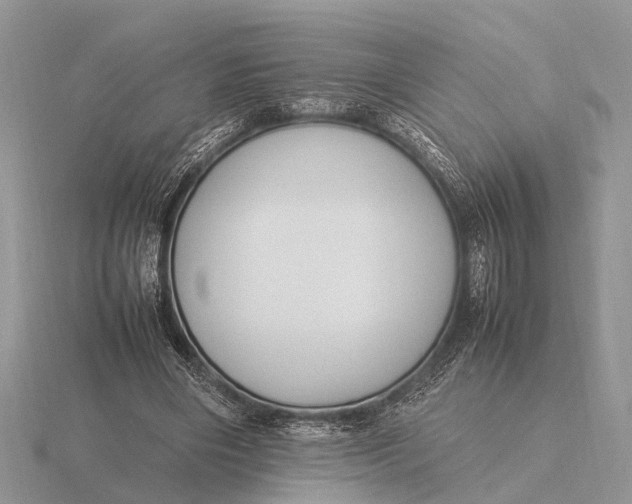 X0000116270490200912141331