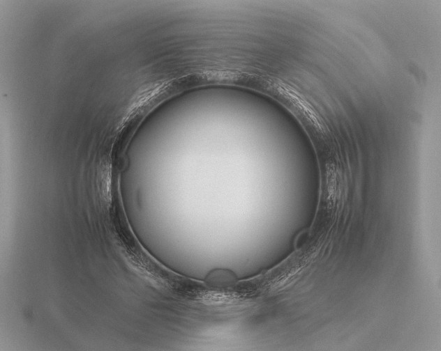 X0000116270494200912141331
