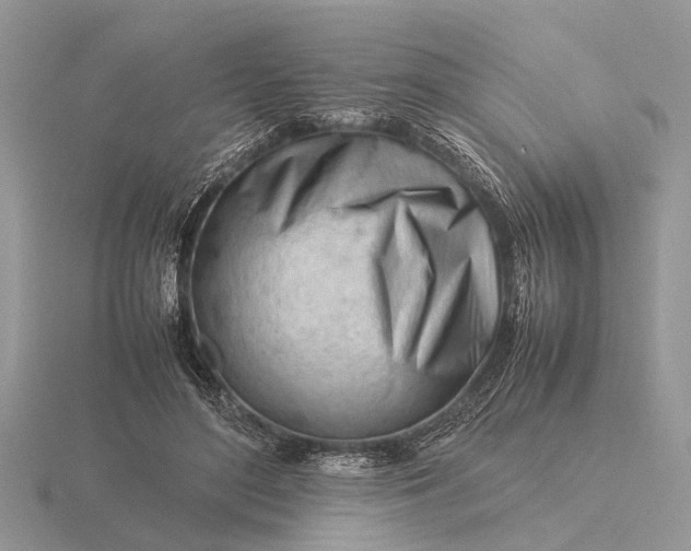 X0000116270500200912141331