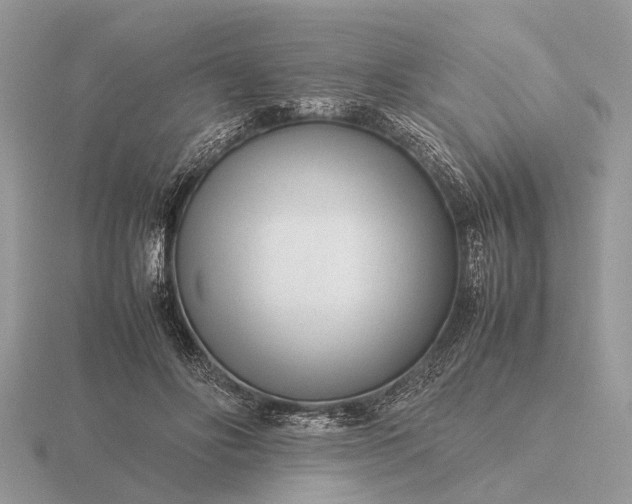 X0000116270502200912141331