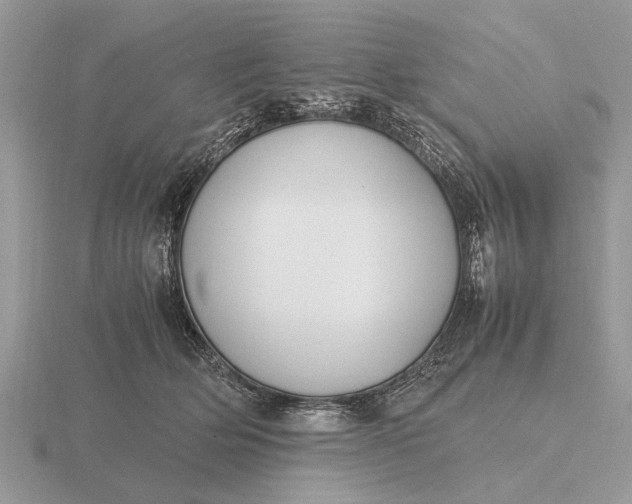 X0000116270514200912141331