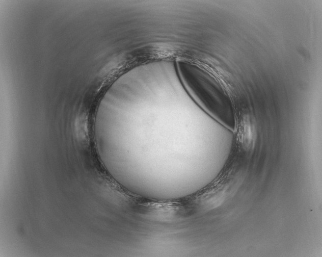 X0000116270524200912141331