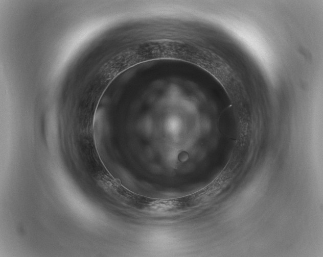 X0000116270526200912141331