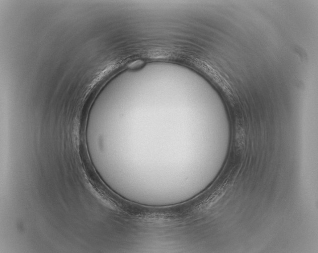 X0000116270530200912141330