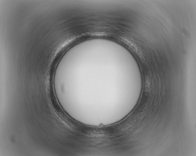 X0000116270535200912141330