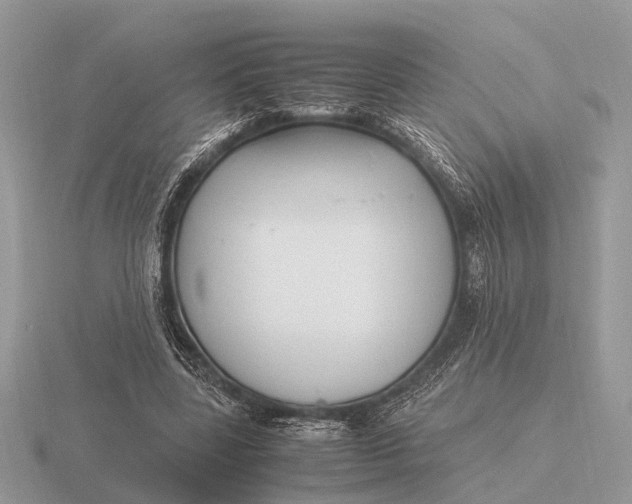 X0000116270539200912141330