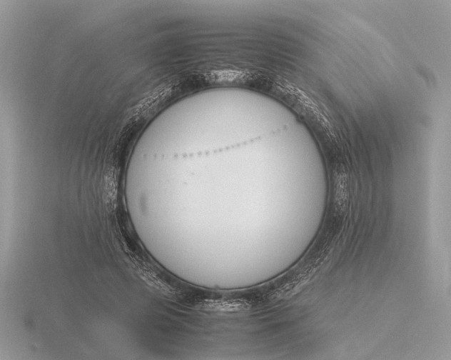 X0000116270545200912141330
