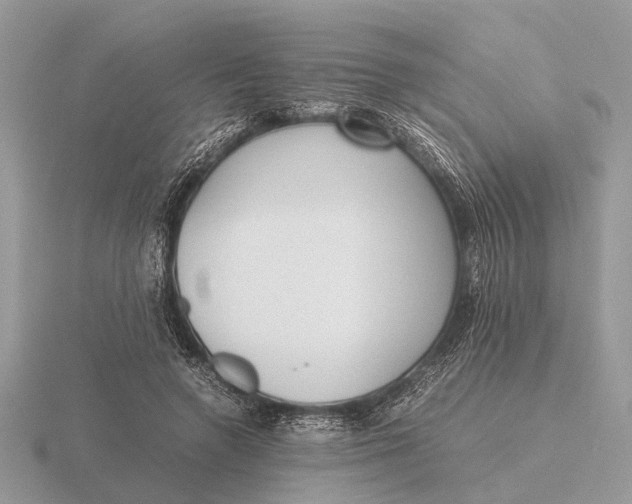 X0000116270546200912141330